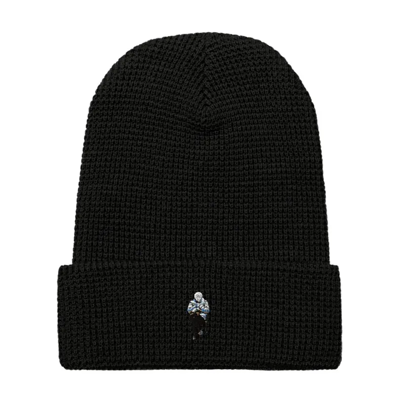 Guardian Beanie Sanders